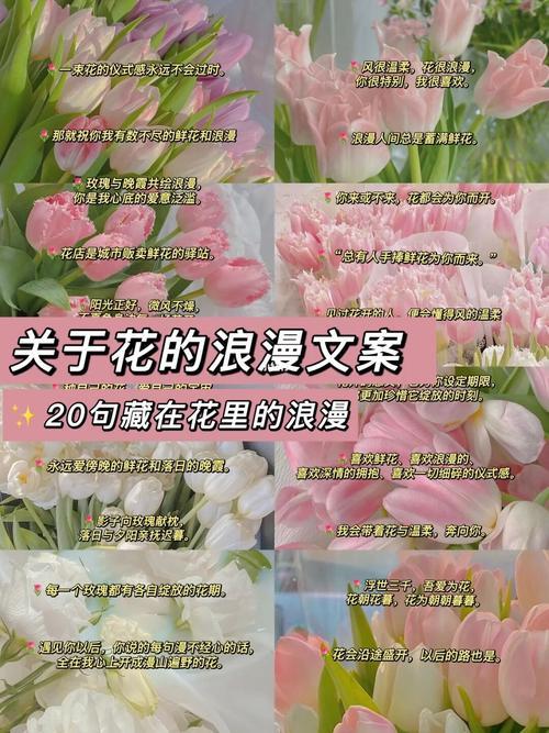 分享花的文案