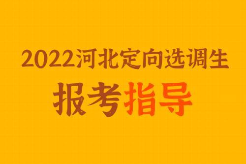 2023河南选调生报考条件
