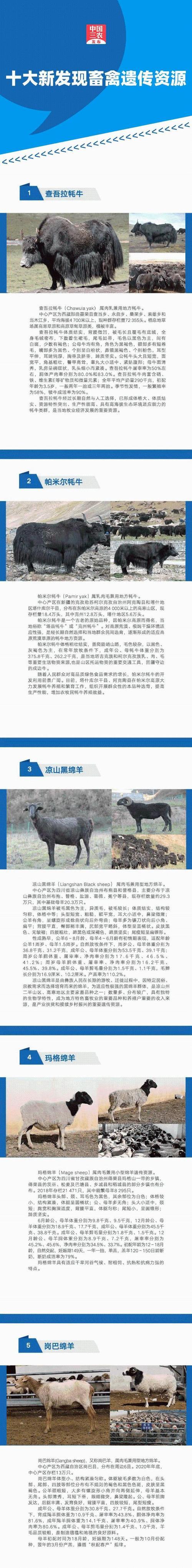 质农爱购商城官网