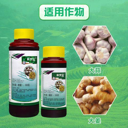 大葱苗田除草用什么除草剂
