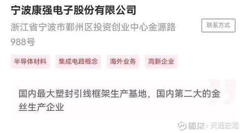 康强电子发展前景如何