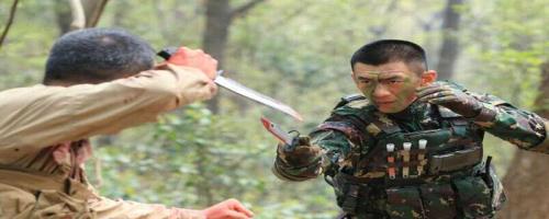 特种兵之霹雳火救龙丹丹第几集