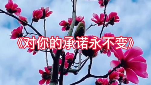 大家一起好原唱完整版