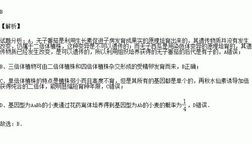 到底如何区分单倍体与多倍体