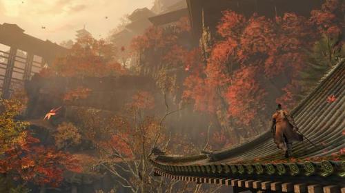 只狼自定义背景