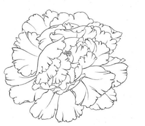 牡丹花片的几种画法