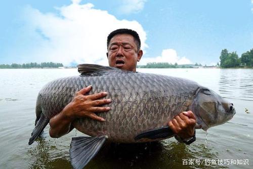冬季鱼儿开口时间