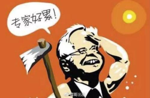 砖家的与专家的区别