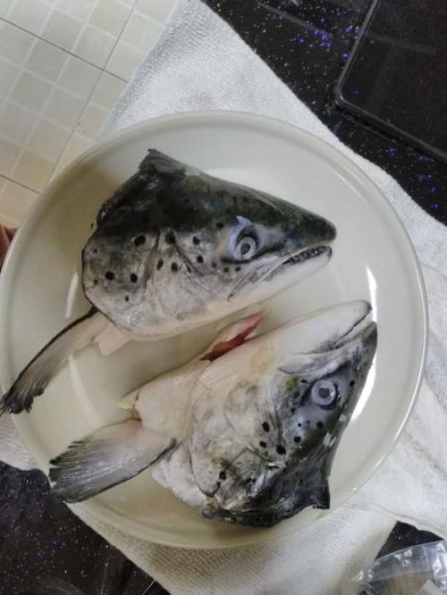 三文鱼头正宗做法