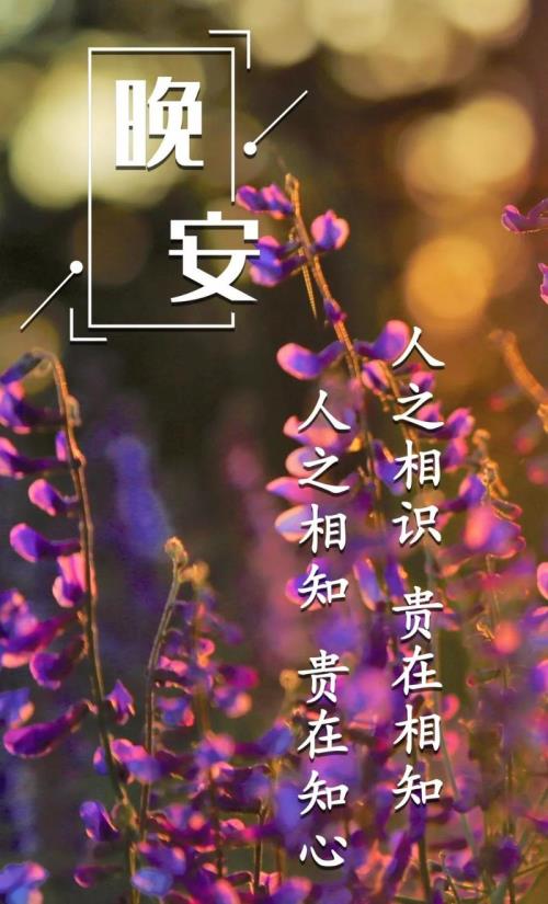 人之相识贵在相知出自哪里