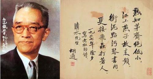 胡适是一个什么样的人