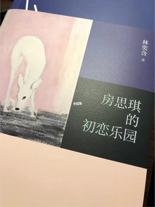 房思琪的初恋乐园说的什么