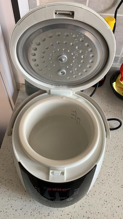 陶瓷内胆电饭煲的危害