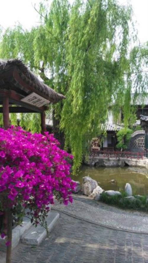 潍坊十笏园门票什么情况下免票