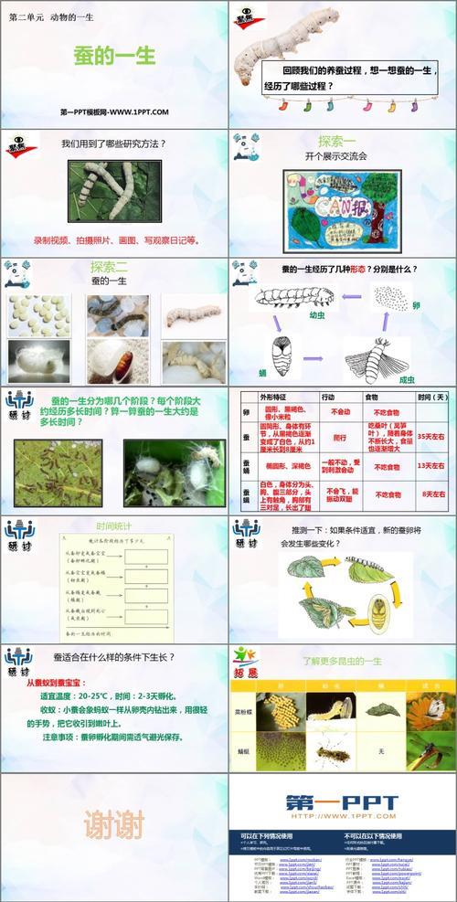 蚕的一生分为哪四个阶段
