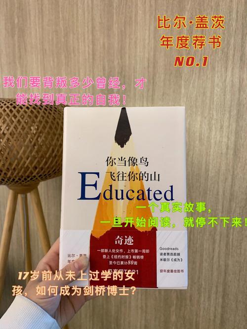 你当像鸟飞往你的山完整故事线