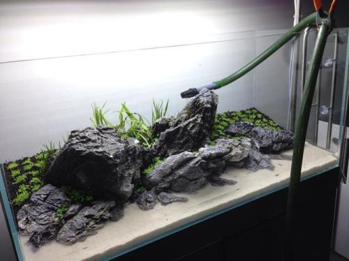 80缸青龙石造景几种摆法