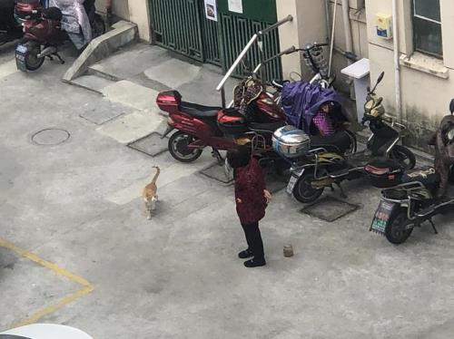 在楼下造句