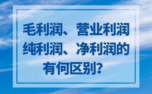 纯利润还是毛利润有什么区别