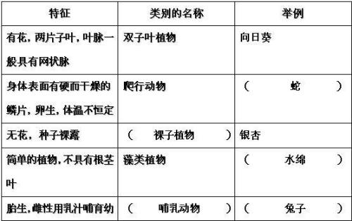 观察动物或植物的变化写一段话
