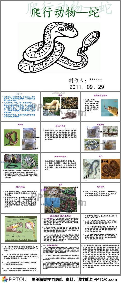 用英语介绍蛇的特点三年级