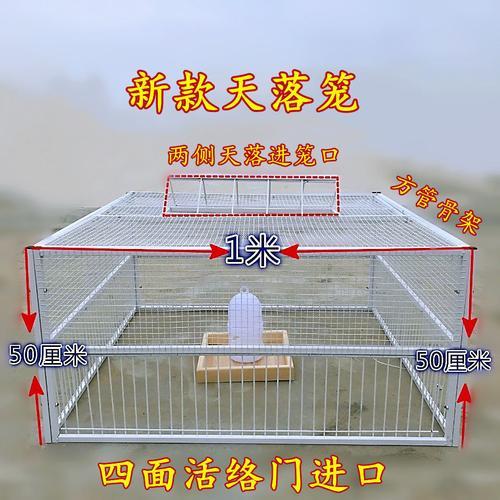 自制简易抓鸽子器纸盒子