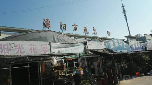 广州花卉市场几点开门关门