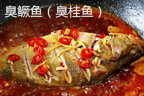 臭鳜鱼是什么鱼，臭鳜鱼是桂鱼吗