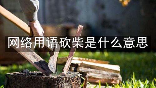 点柴的意思