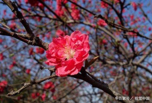 三月是指60天到90天吗