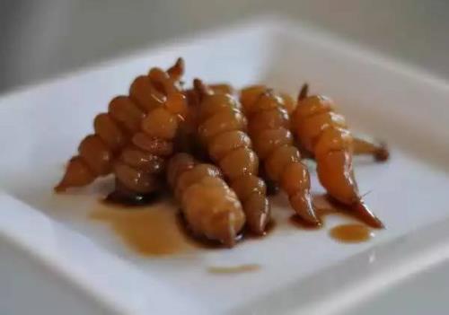 洋姜和螺丝菜能一起腌制吗