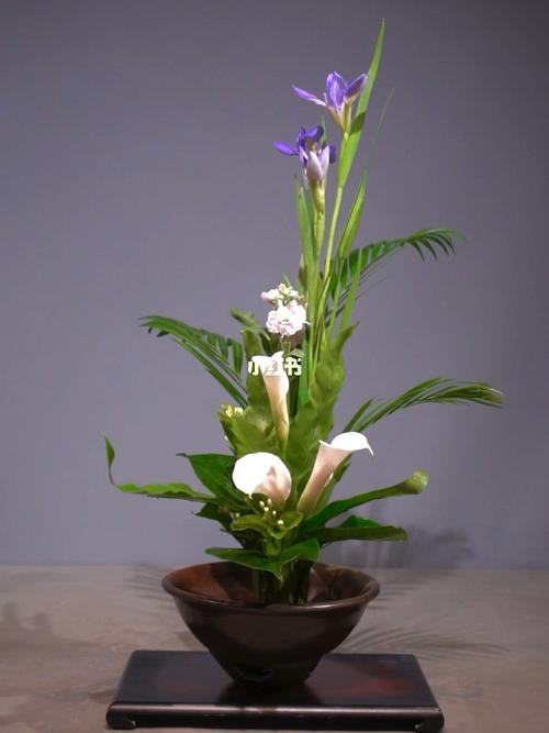 碗花怎么剪
