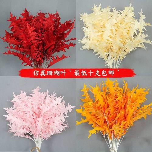 插花珊瑚怎么养