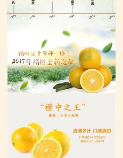 褚橙产地