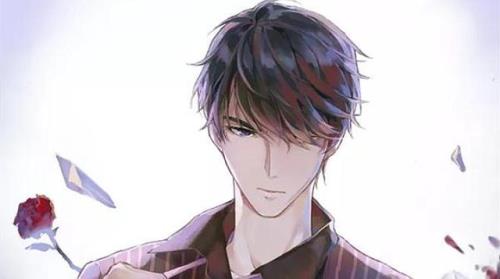 李长安为男主角的小说