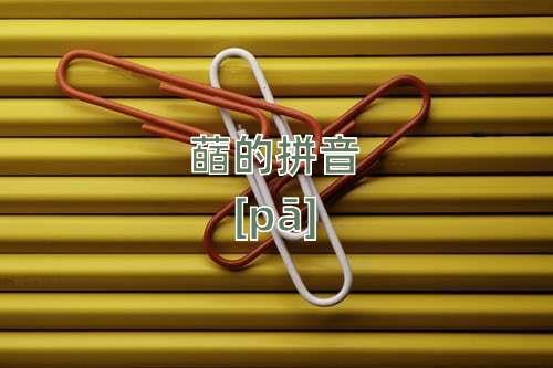 豨莶的读音