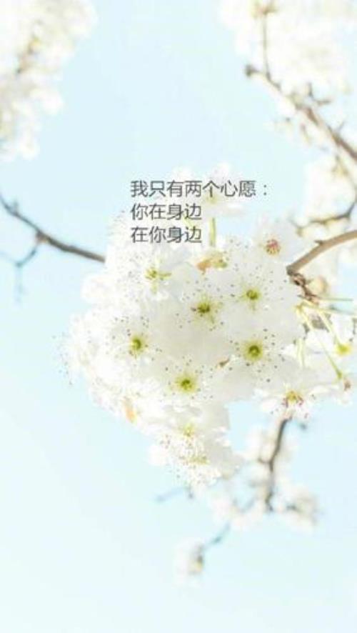 不喜不悲的心情句子
