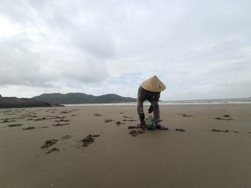 不是渔民可以赶海吗