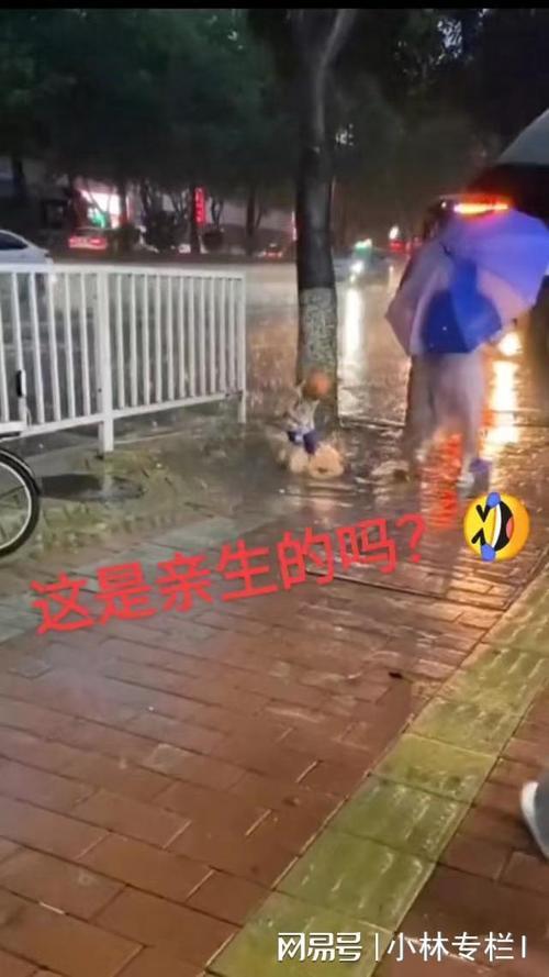男生问你淋雨了吗怎么回复