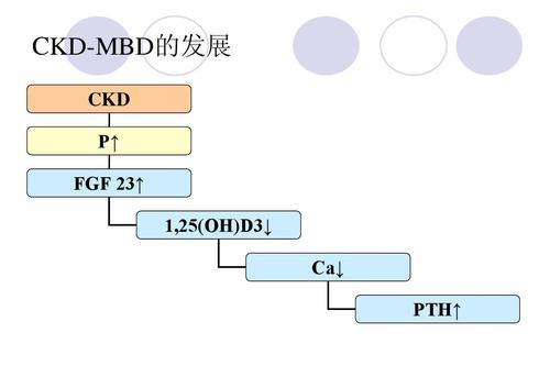 skd与ckd的区别