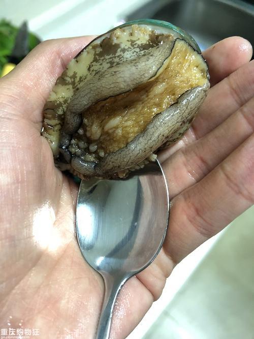 鲍鱼杀了怎么保存