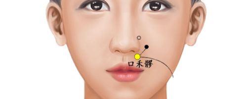 外缘是什么意思