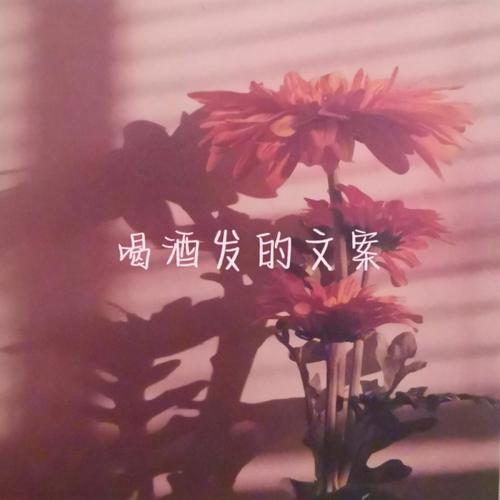 朋友喝醉文案