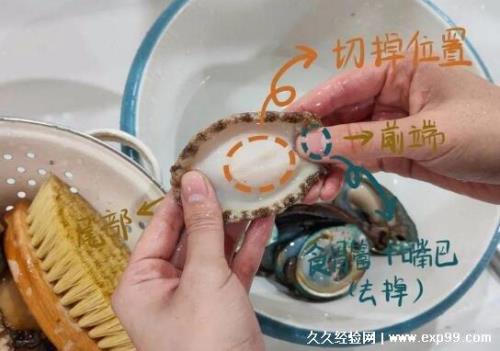 鲍鱼泡发的方法