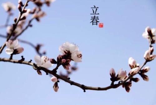 两冬夹一春什么意思