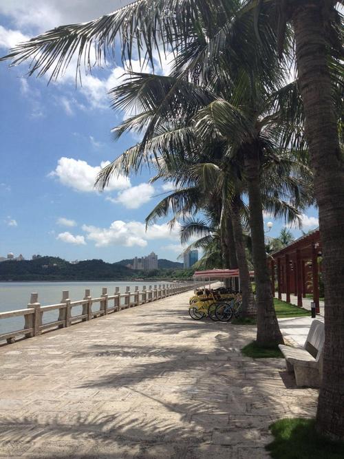 自驾游珠海情侣路车停哪里好