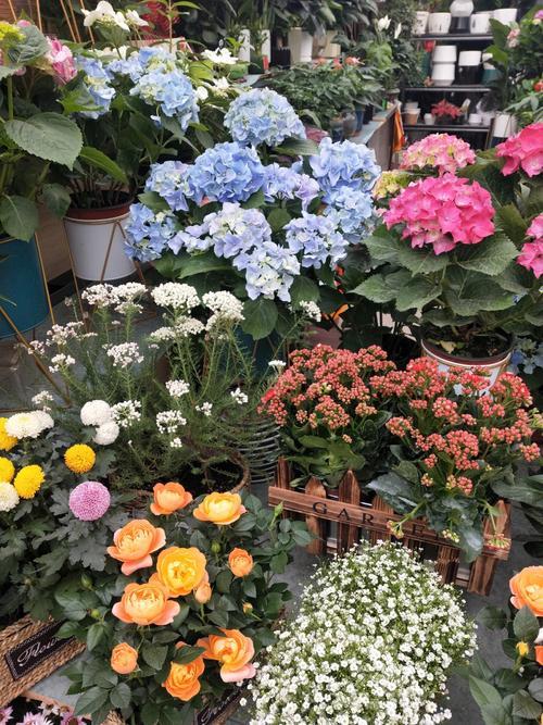 西安三五一一花卉市场营业时间
