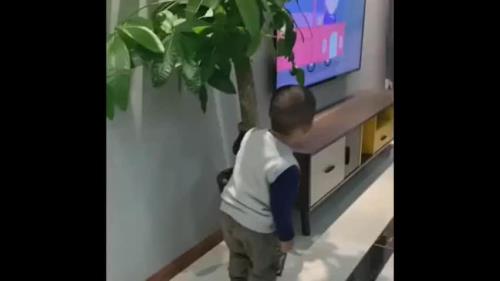 孩子半夜偷偷看电视要怎么引导