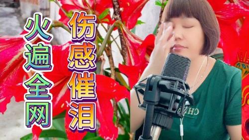 催泪伤感情歌原唱
