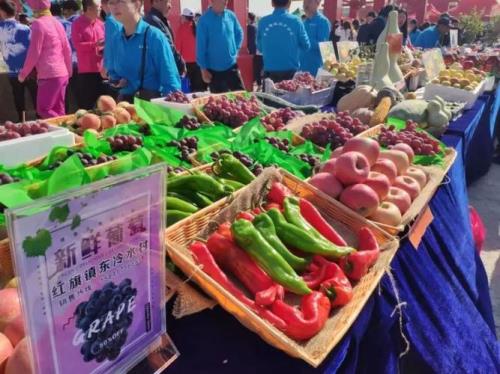 天津赶大集展销会在什么地方